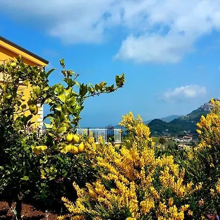 Il Poggio Del Cenito Aparthotel