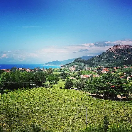 Il Poggio Del Cenito Castellabate